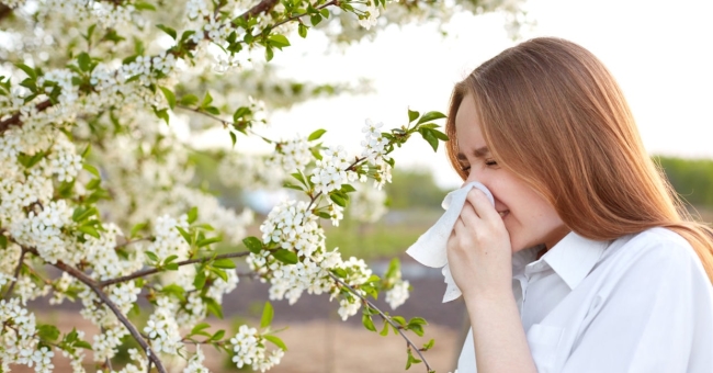Alergia en los ojos: Causas, síntomas, tratamientos y consejos