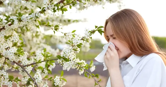 Alergia en los ojos: Causas, síntomas, tratamientos y consejos Alergia en los ojos: Causas, síntomas, tratamientos y consejos