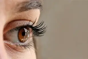 Sirven las cejas y las pestañas