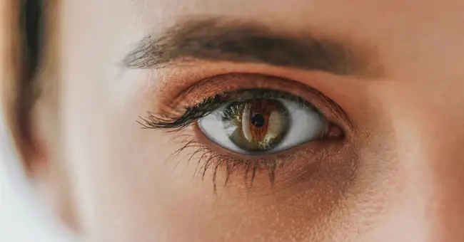 Xeroftalmia: causas, síntomas y tratamientos Xeroftalmia: causas, síntomas y tratamientos
