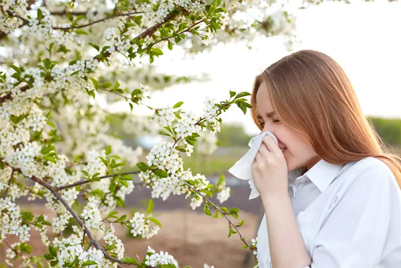 Alergia en los ojos: Causas, síntomas, tratamientos y consejos