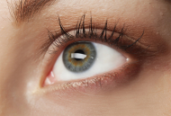 Queratitis: lesiones oculares