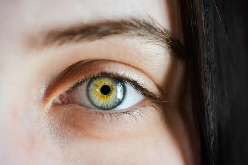 El ojo humano y las Lentillas... El ojo humano y las Lentillas...